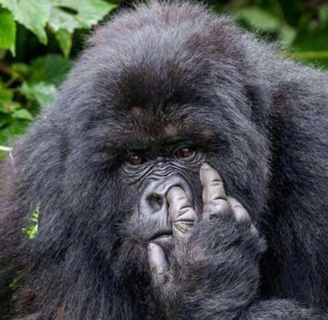 Eco-cultural tourism experience with local guides