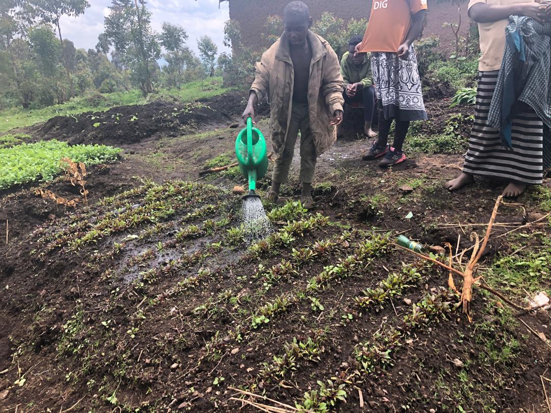 Community tree planting initiative
